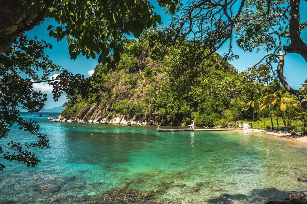 Caraibes Cottage Grenat Piscine Privee 900M De Grande Anse Deshaies Eksteriør bilde