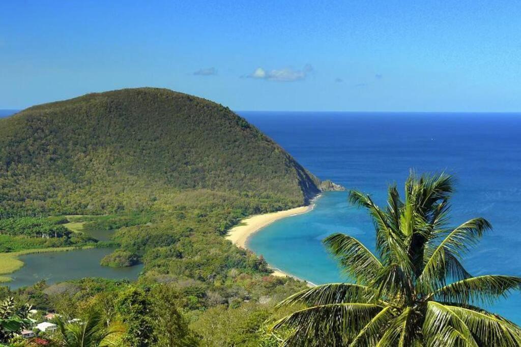 Caraibes Cottage Grenat Piscine Privee 900M De Grande Anse Deshaies Eksteriør bilde