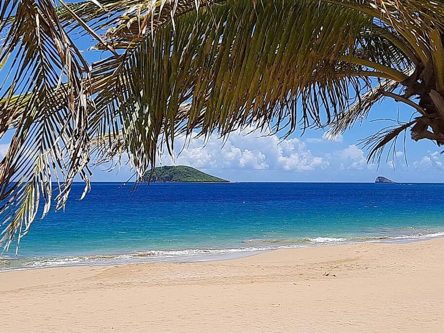 Caraibes Cottage Grenat Piscine Privee 900M De Grande Anse Deshaies Eksteriør bilde