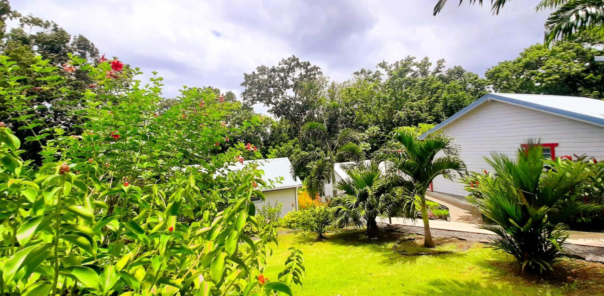 Caraibes Cottage Grenat Piscine Privee 900M De Grande Anse Deshaies Eksteriør bilde