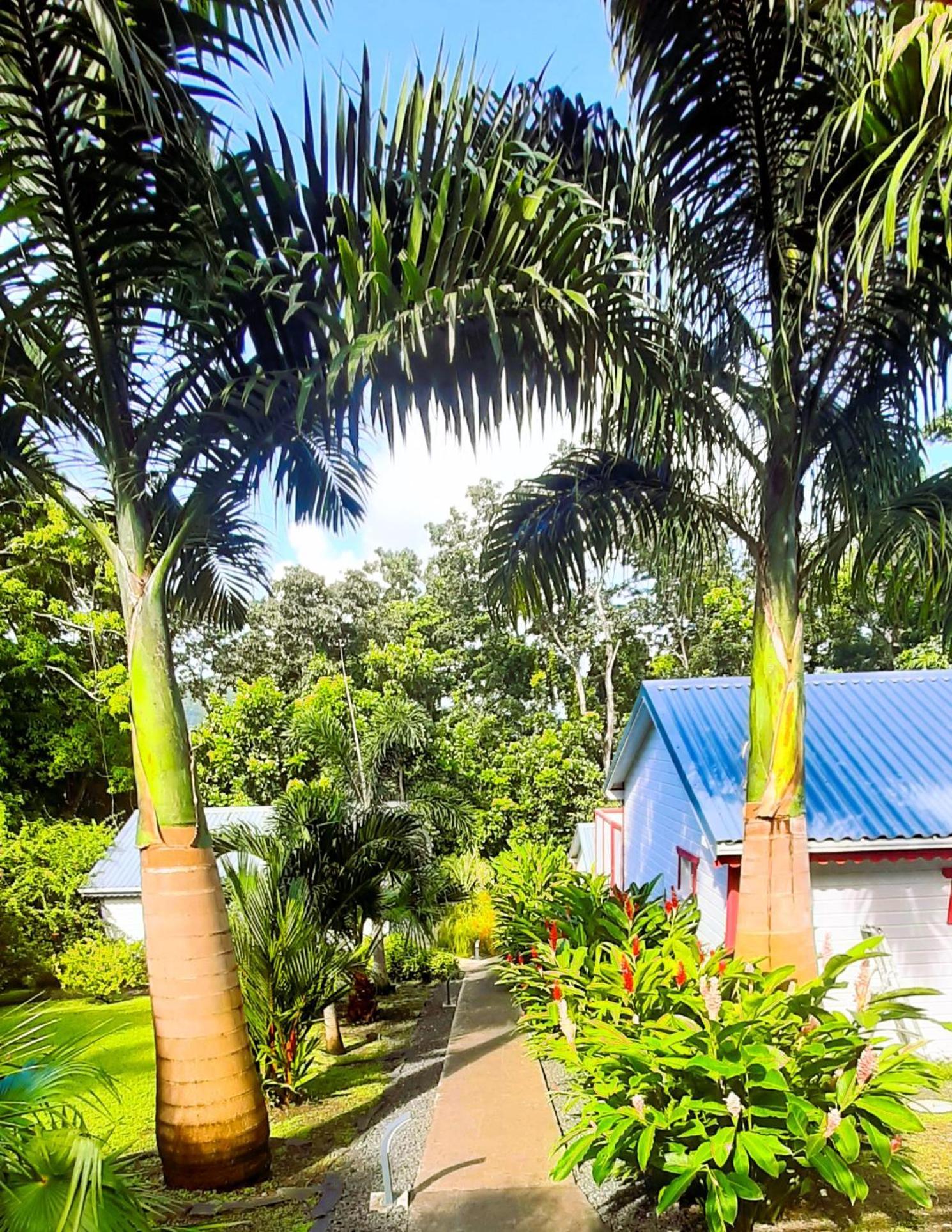 Caraibes Cottage Grenat Piscine Privee 900M De Grande Anse Deshaies Eksteriør bilde