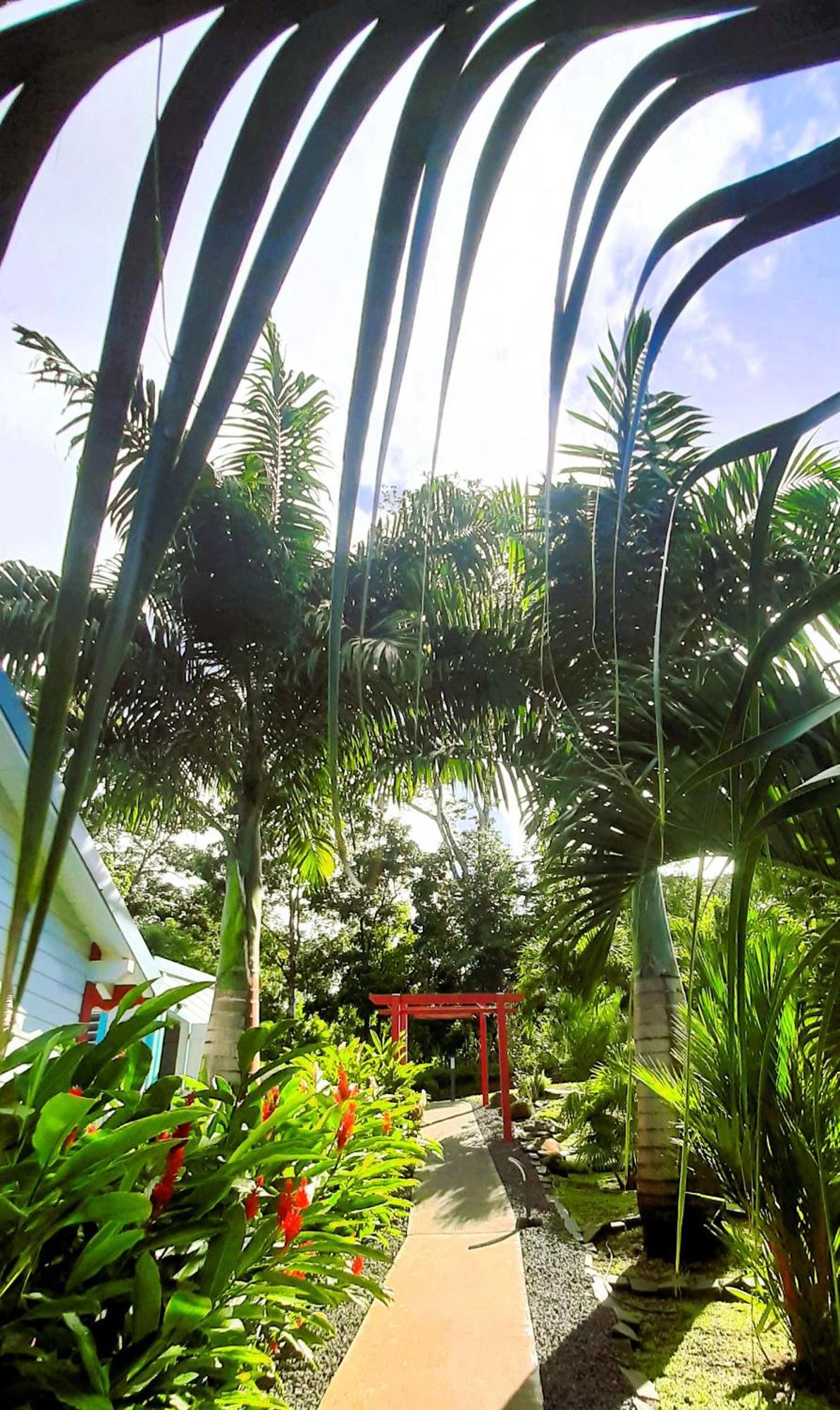 Caraibes Cottage Grenat Piscine Privee 900M De Grande Anse Deshaies Eksteriør bilde