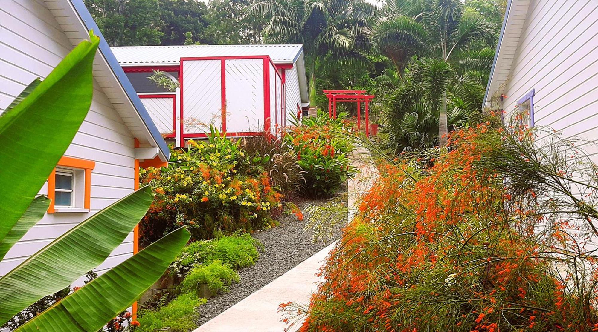 Caraibes Cottage Grenat Piscine Privee 900M De Grande Anse Deshaies Eksteriør bilde