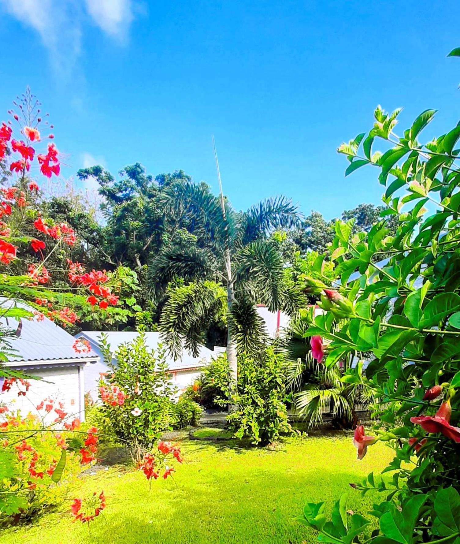 Caraibes Cottage Grenat Piscine Privee 900M De Grande Anse Deshaies Eksteriør bilde